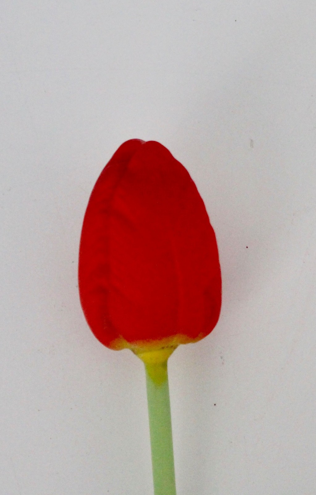Antique 1920s BIMINI Art Deco Germany Satin Glass Red Tulip and Glass Leaf