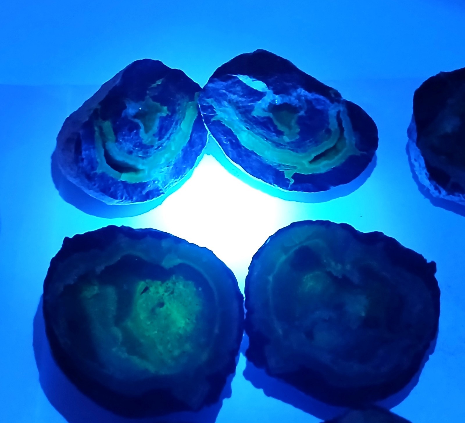 Bulk 2 Pound Group of Small Utah Dugway Geodes Thundereggs 1.50-2.00"