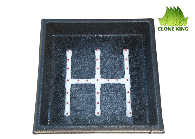 THE CLONE KING 64 SITE AEROPONIC PLANT CLONING MACHINE CLONE CLONER CLONING HYRO