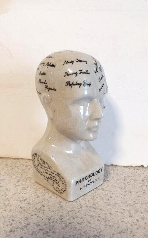 PHRENOLOGY HEAD  MEDICAL BUST SCIENTIFIC  PORCELAIN 6 INCH  NEW