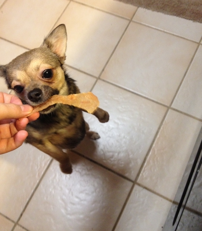 Natural Chicken Jerky Dog Treats - 100% Chicken, Made In USA, No Chemicals!!