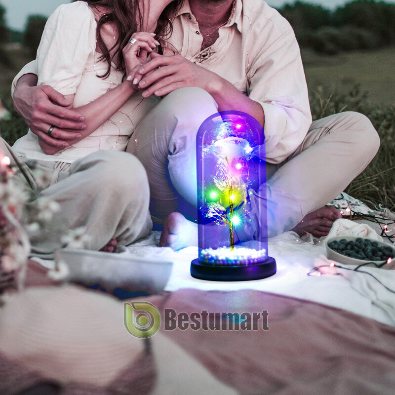 Forever Galaxy Rose Flower In Glass Dome LED Light Eternal Gift Valentine's Day