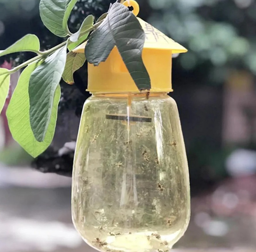 3pcs Fruit Fly & Insect Trap – Outdoor Plastic Hanging Drosophila Killer - NEW