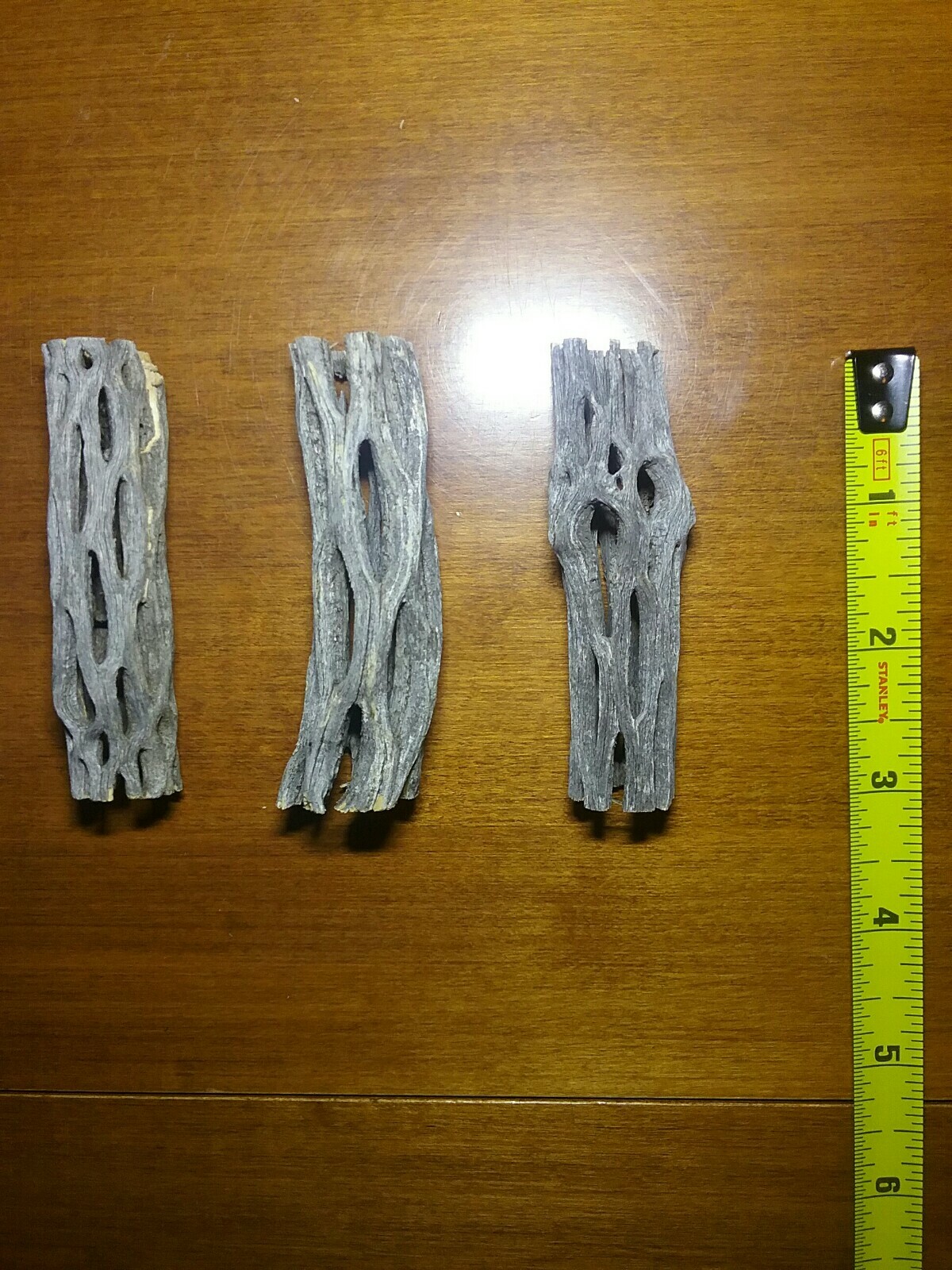 6 Pieces 3" inch CHOLLA Wood Cactus | Organic, Untreated | Shrimp Aquarium NICE!