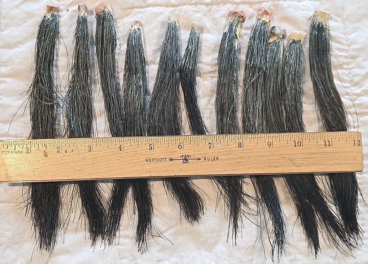 11 Fat Wild Turkey Beards Taxidermy Bird Crafts 6-9" #4