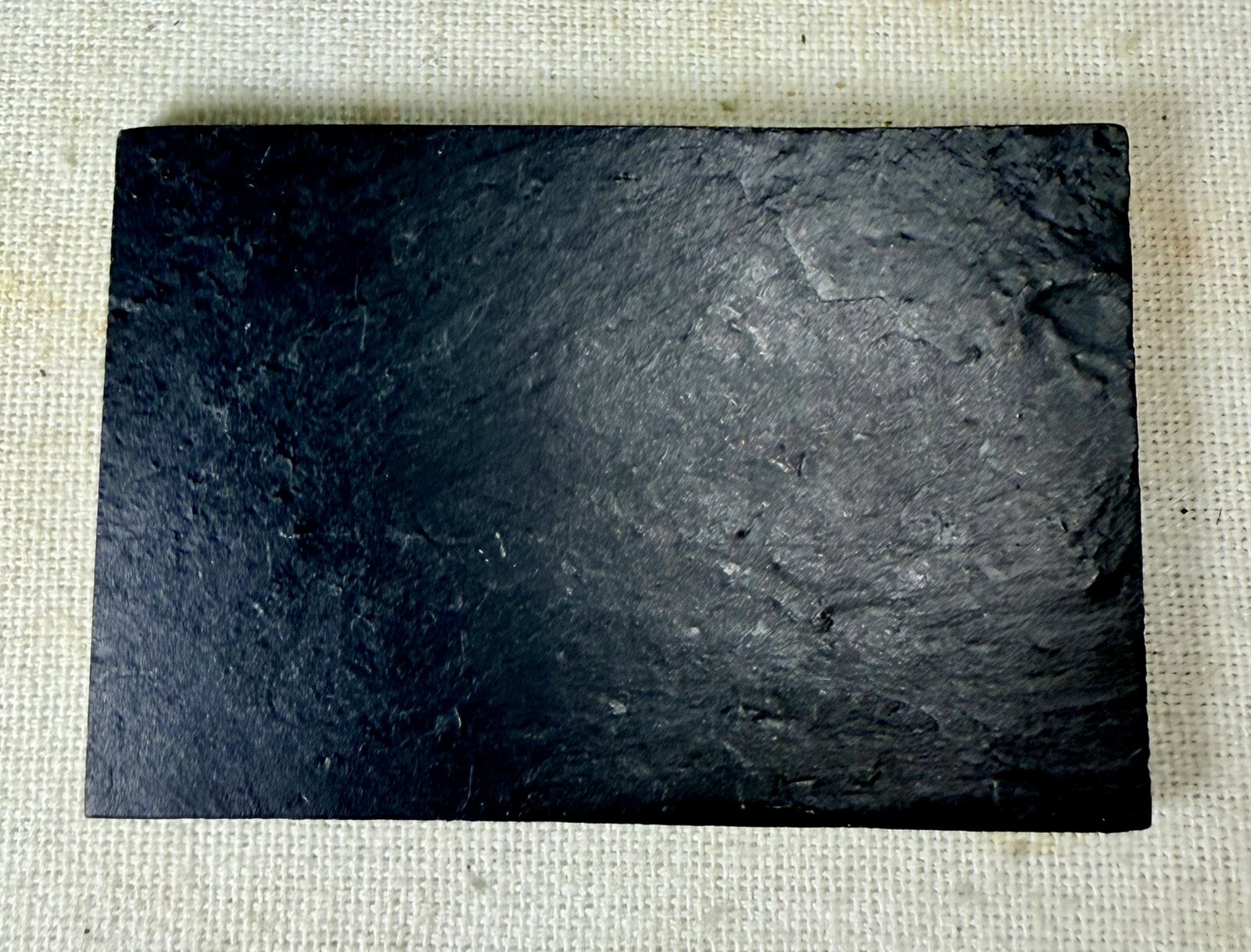 Undetermined Brittle Star Fossil ~Bundenbach Germany~ Devonian Period