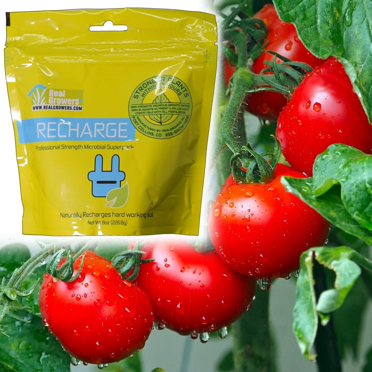 Real Growers Recharge - Mycorrhizae Instant Compost Tea/Soil Microbes