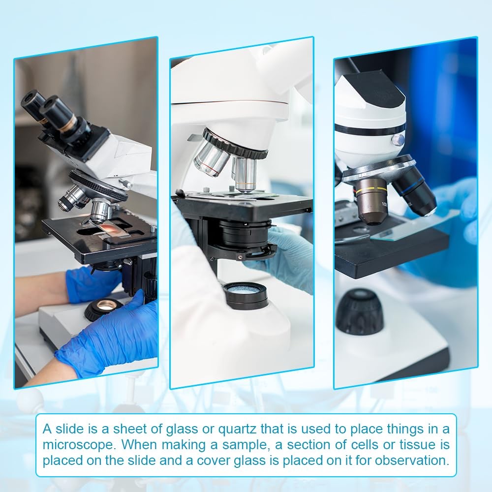 Concave Microscope Glass Slides Single Depression 1x3" Pack of 50 Slides