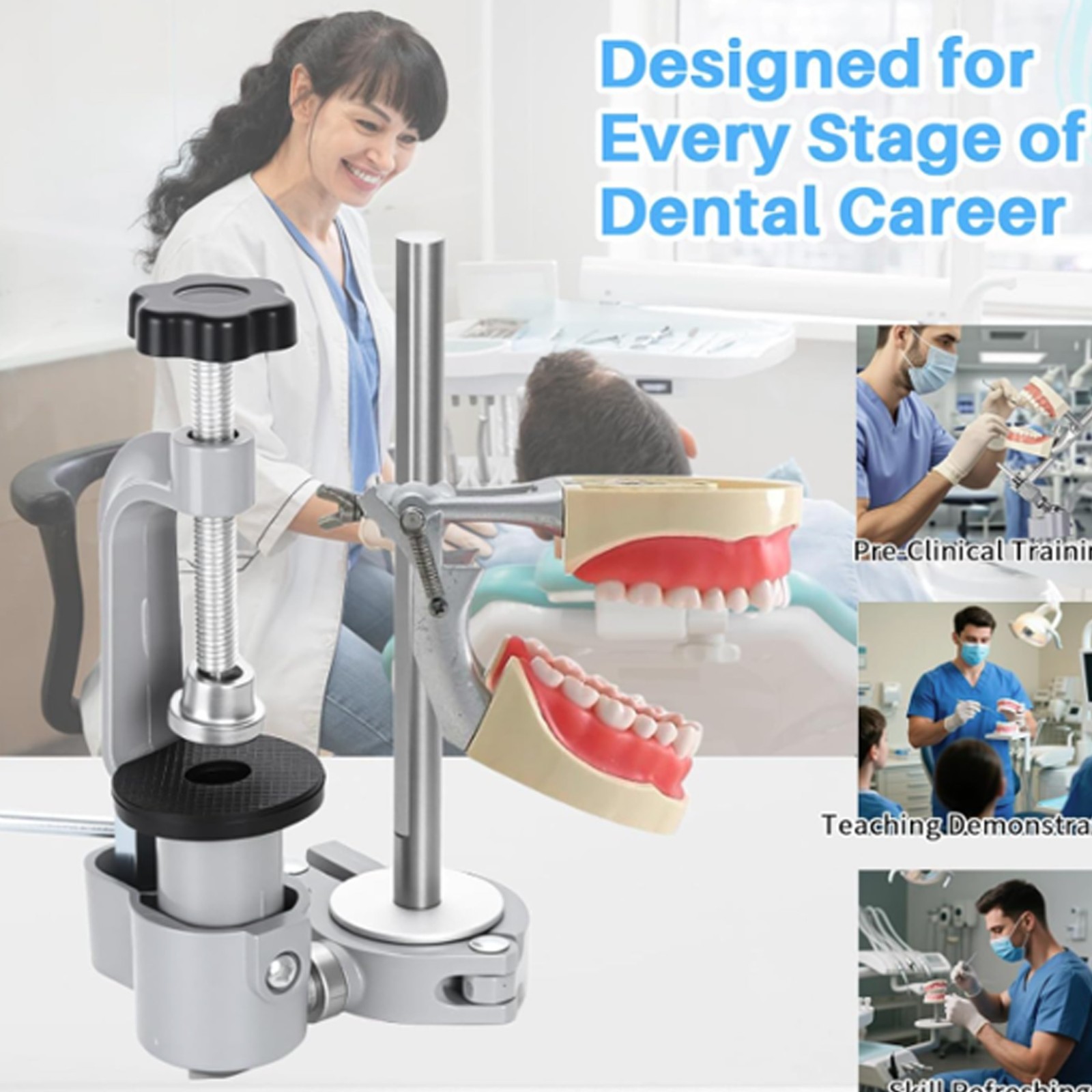 Dental Columbia Dentoform 860 Type Typodont​ 32 Teeth Removable​ Mounting Pole