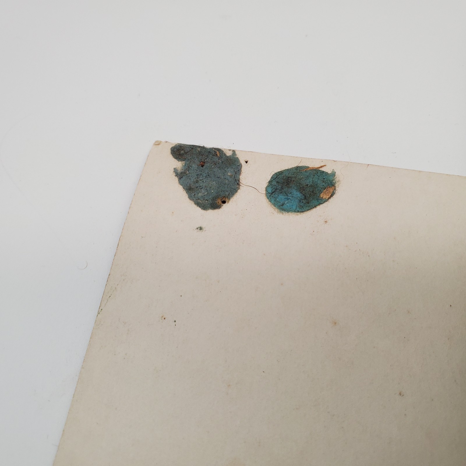 Jimi Hendrix Winterland 1968 Psychedelic Poster Rick Griffin Moscoso BG-140