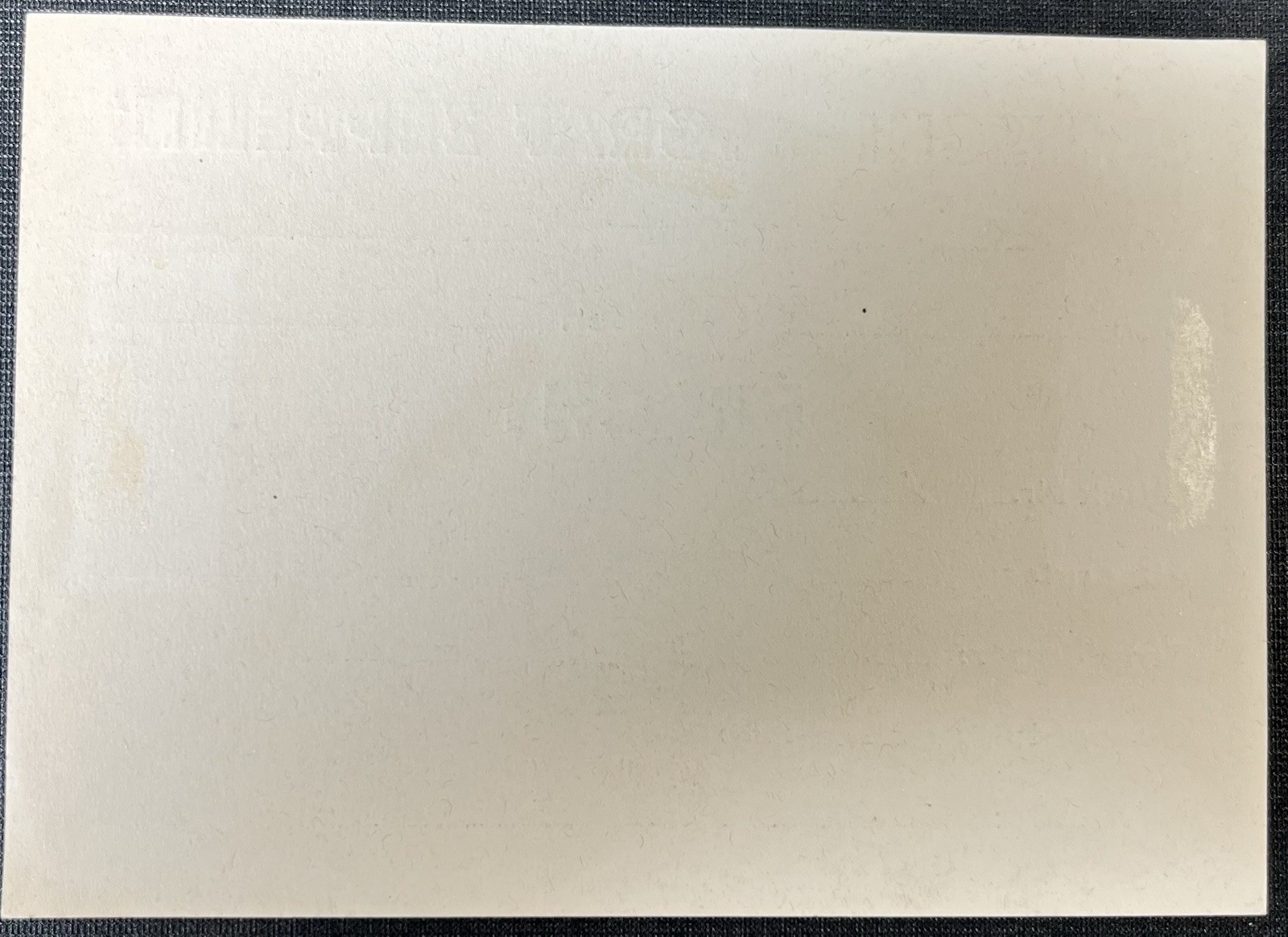 1929 Graf Zeppelin Freight Label - Not A Reproduction