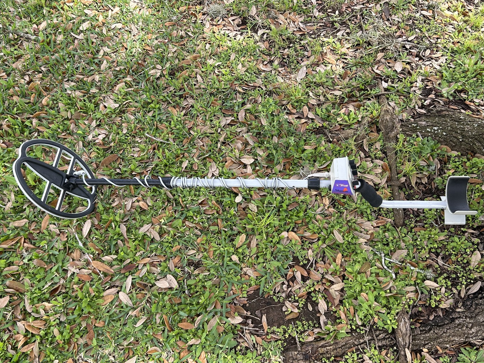 Tesoro VAQUERO Metal Detector w/ 11x8" Coil, Cover, New Battery, Manual - Nice!