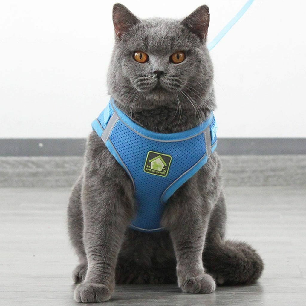 Mesh Padded Dog Harness & Leash Pet Puppy Vest for Small Medium Dogs Chihuahua