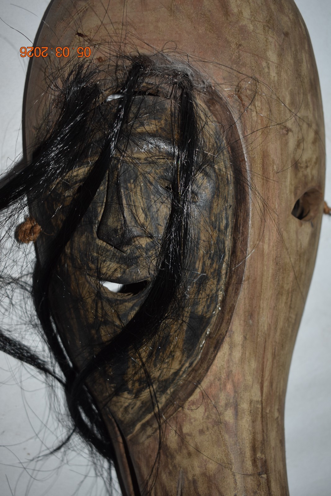 BEAUTIFUL RARE INUIT TRANSFORMATION SHAMANS MASK, head on wolf, 15", 1900S