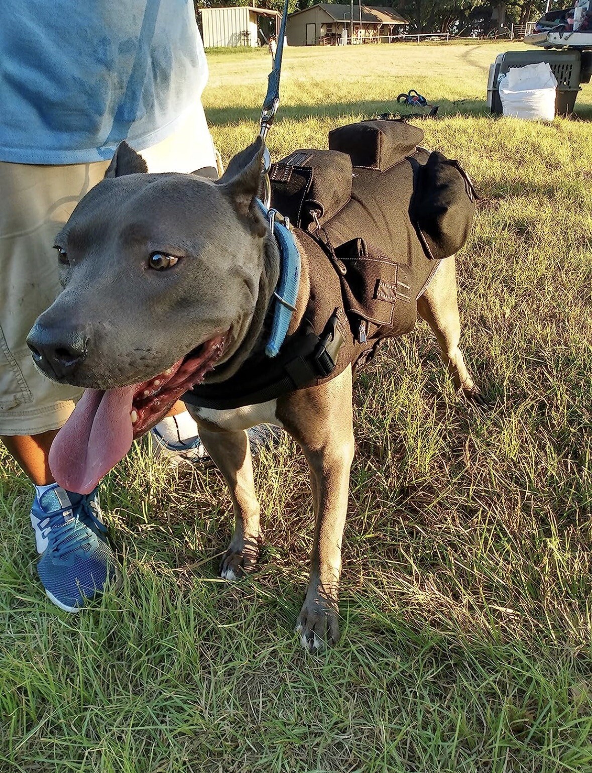 Size Small - CANINE WEIGHT SET® 5 in 1 Weighted Dog Vest - Enhance Performance