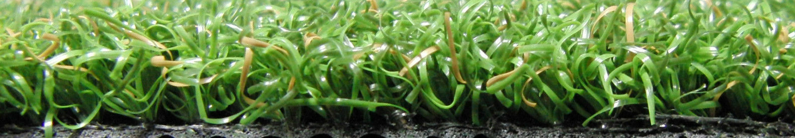 10'x15' Synthetic Turf Backyard Grass Practice Putting Golf Green Indoor Outdoor