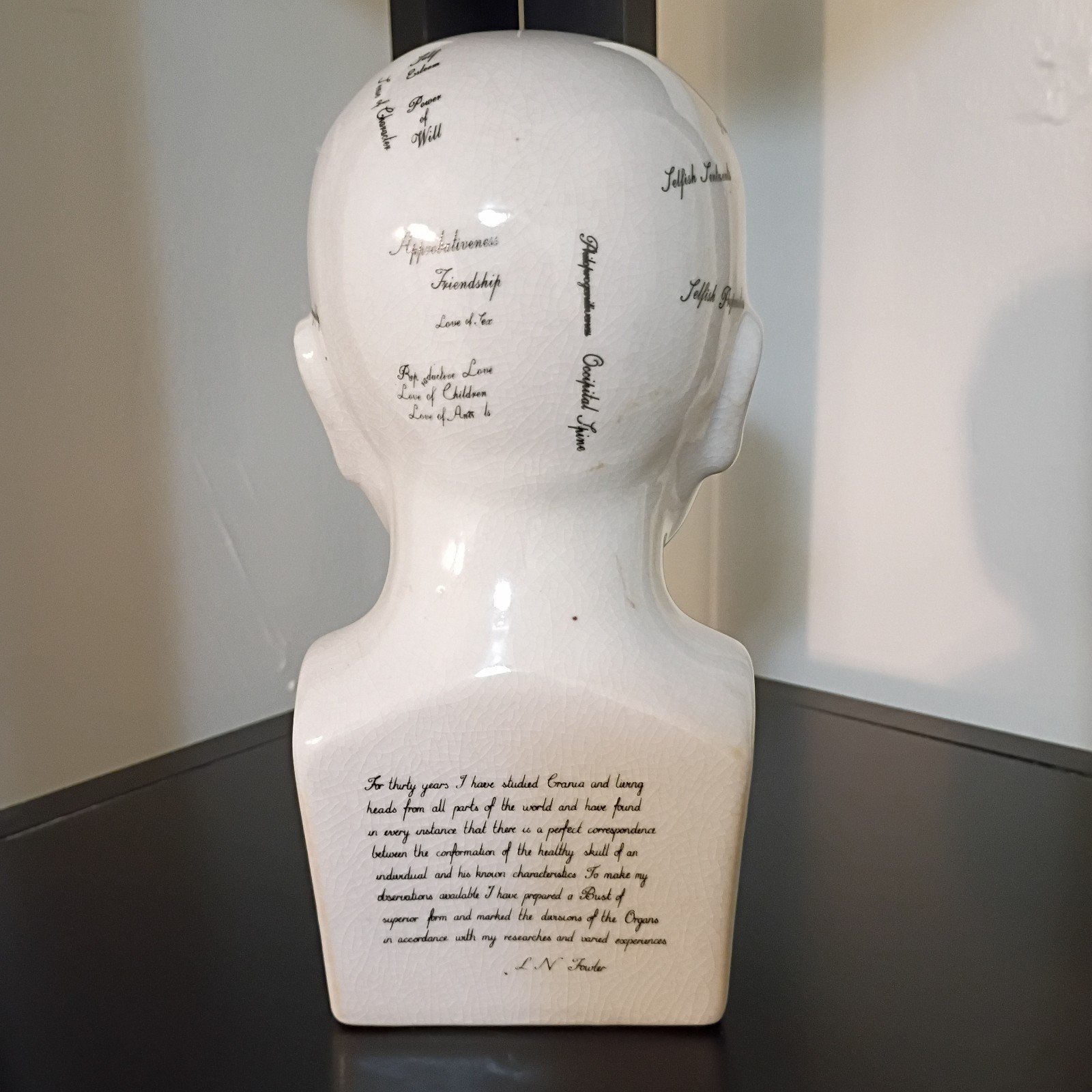 Porcelain L.N. Fowler Phrenology Scientific Psychology 8” Bust Head