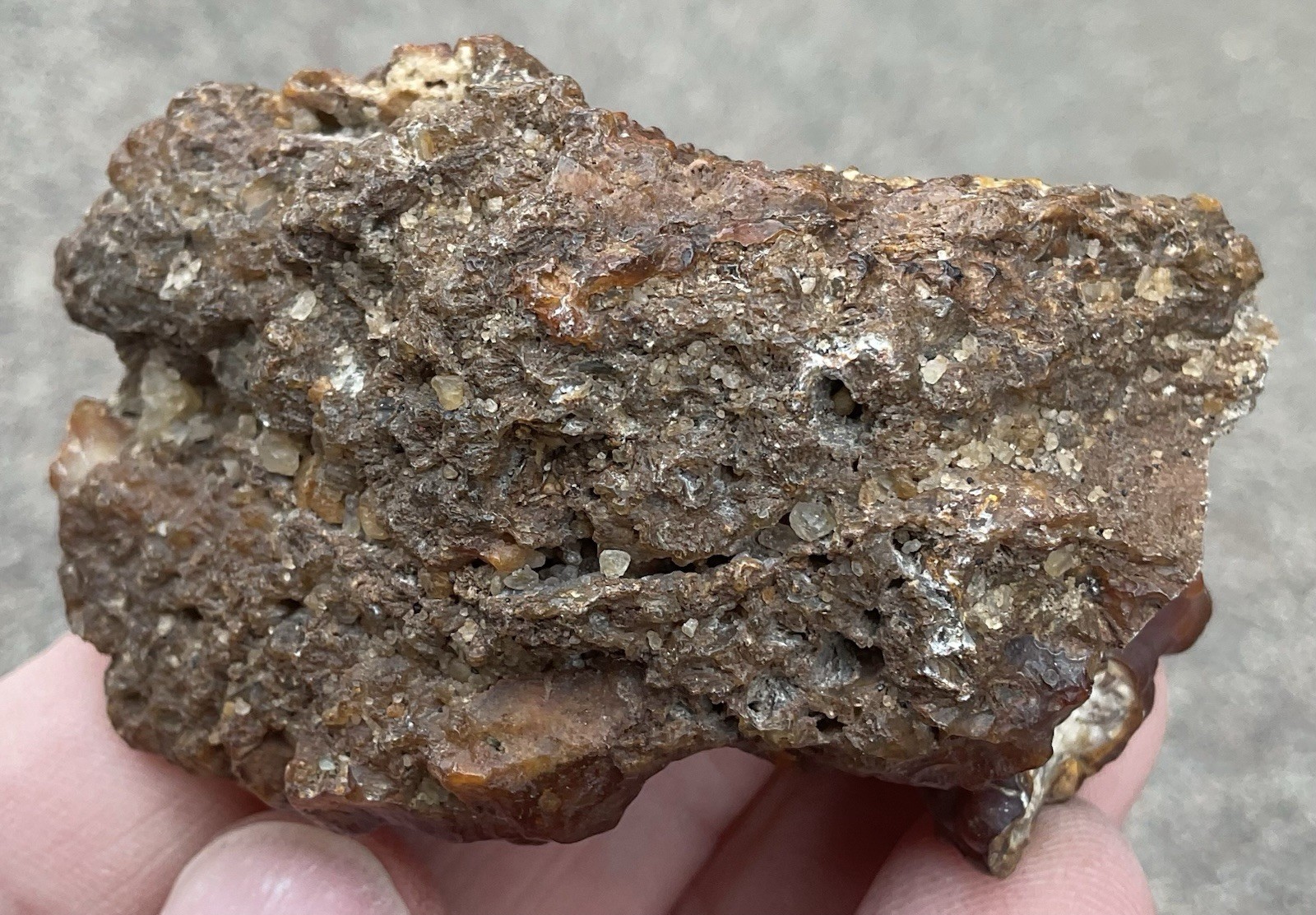 103g Botryoidal Agatized Coral Fossil Chalcedony Stalactite Florida