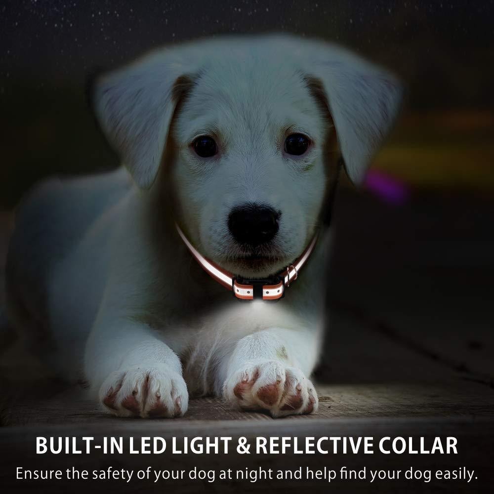 Dog Shock Training Collar Rechargeable Remote Control Waterproof IP67 875 Yards