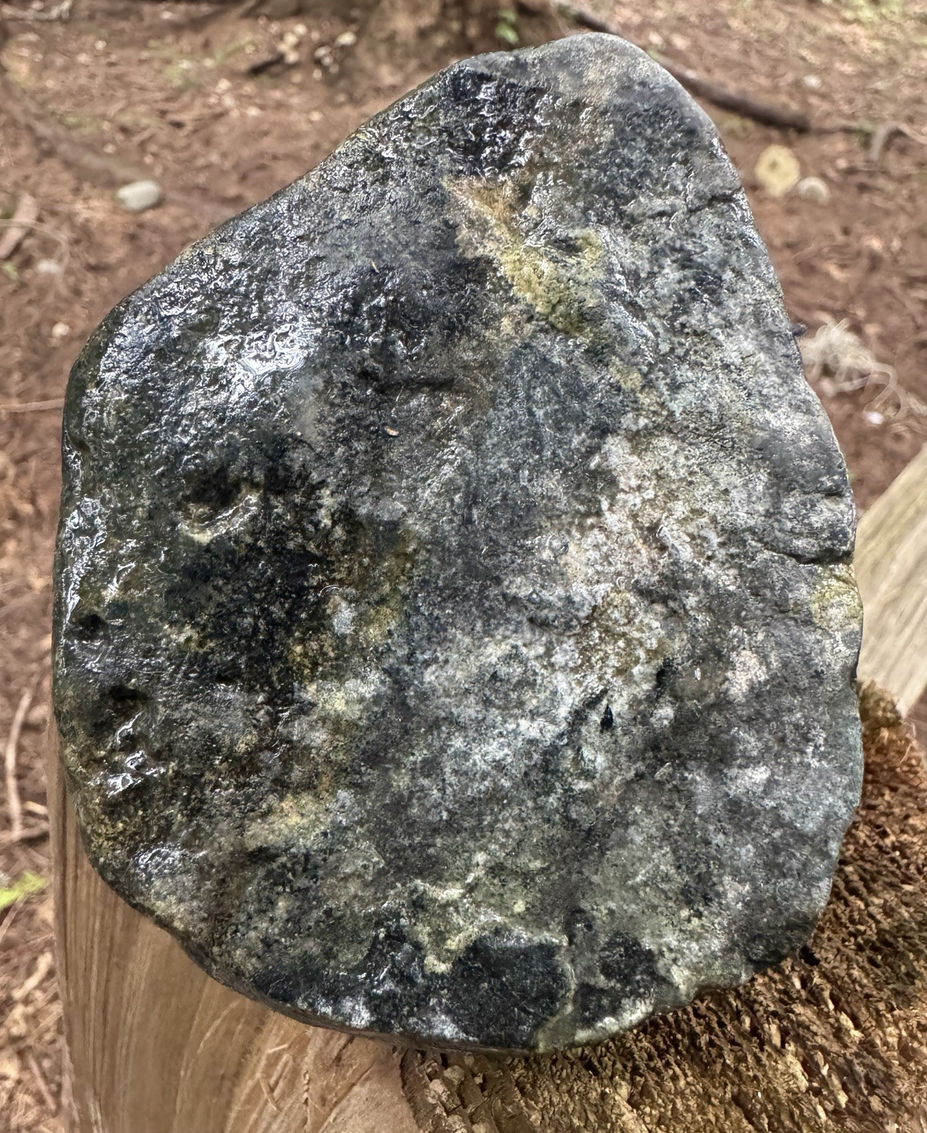 1.06kg Crab Concretion –Rare Blue-Slate Preservation Premium Blakeley Formation