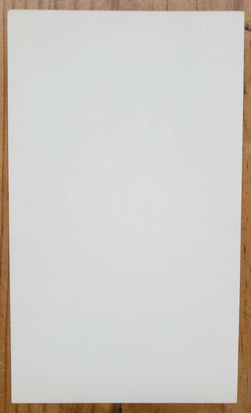 The Young Rascals Sopwith Camel The Doors 1967 FILLMORE WEST HANDBILL Wes Wilson