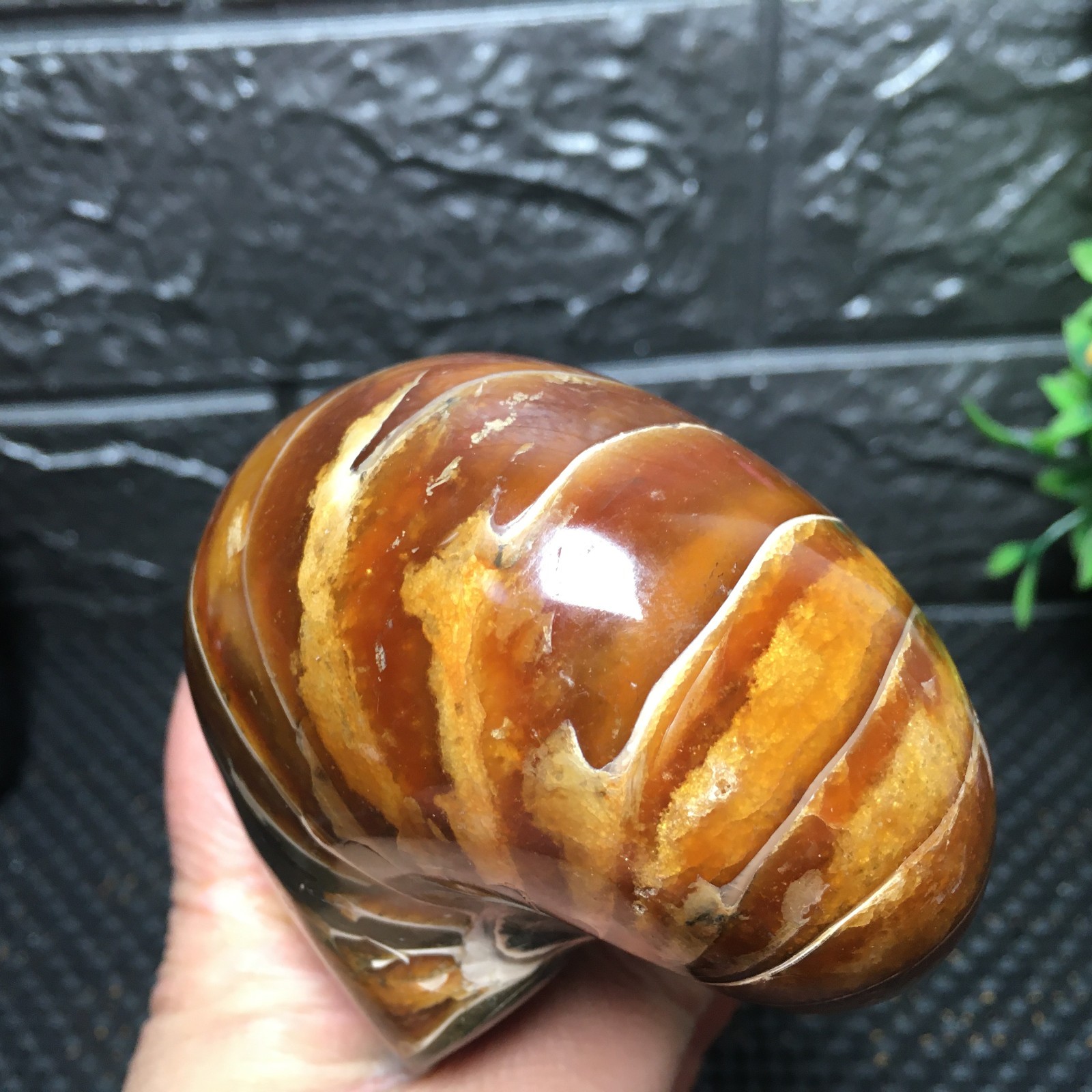 567g Natural polishing Ammonite crystal specimens fb1037