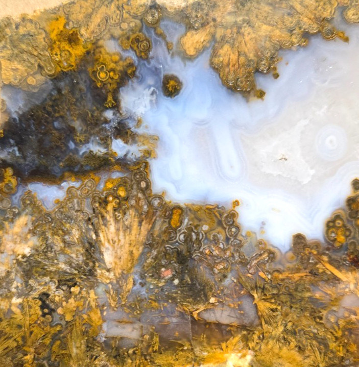 Sagenite Plume Agate Cabochon Slabs, Preforms, Slices, 8 Pcs, Flat 35