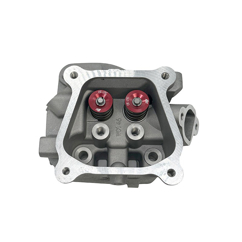 Wc946 18Cc Big Valve 31/25 Head With 26# Springs WC946-2