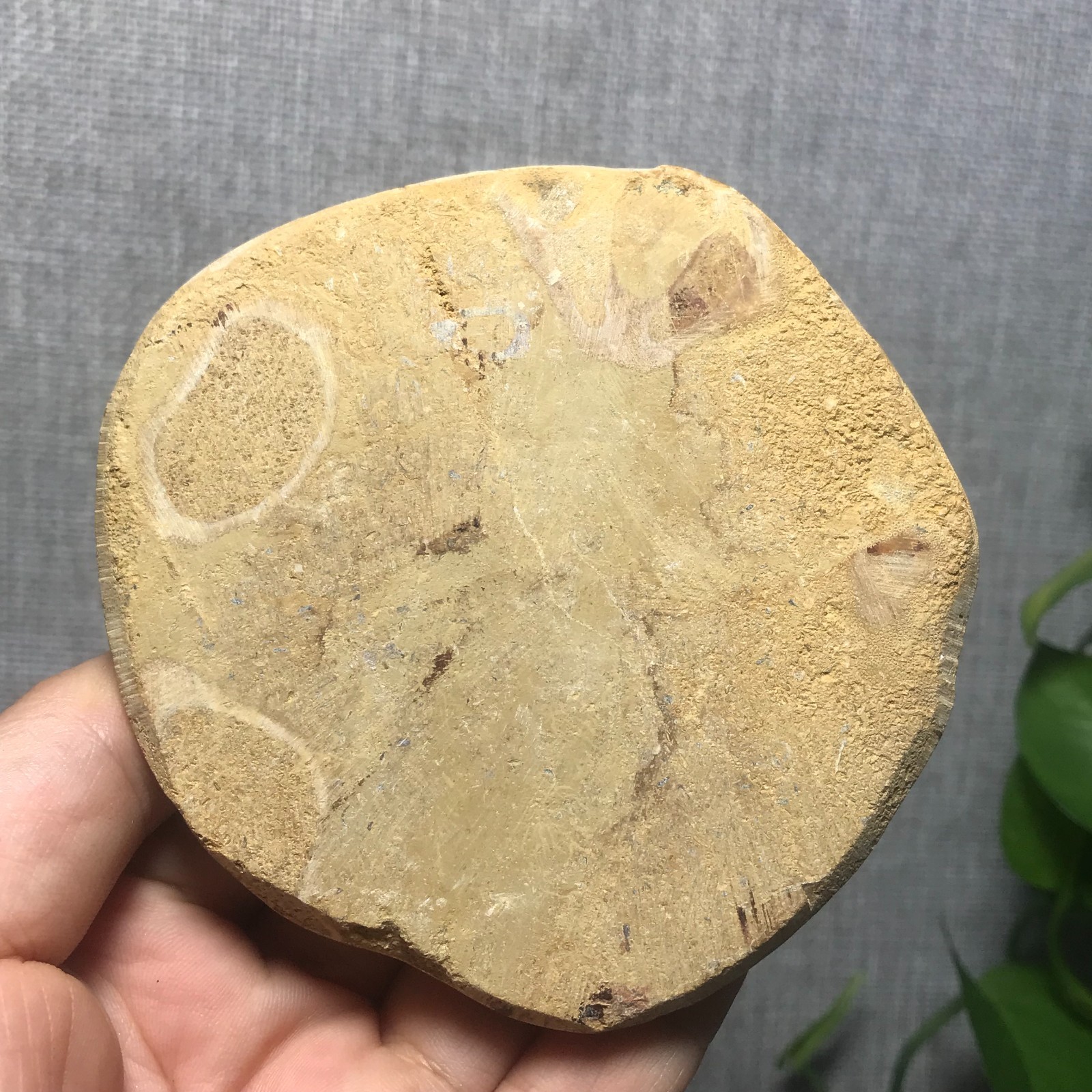 229g Starfish Crystal Specimen 08