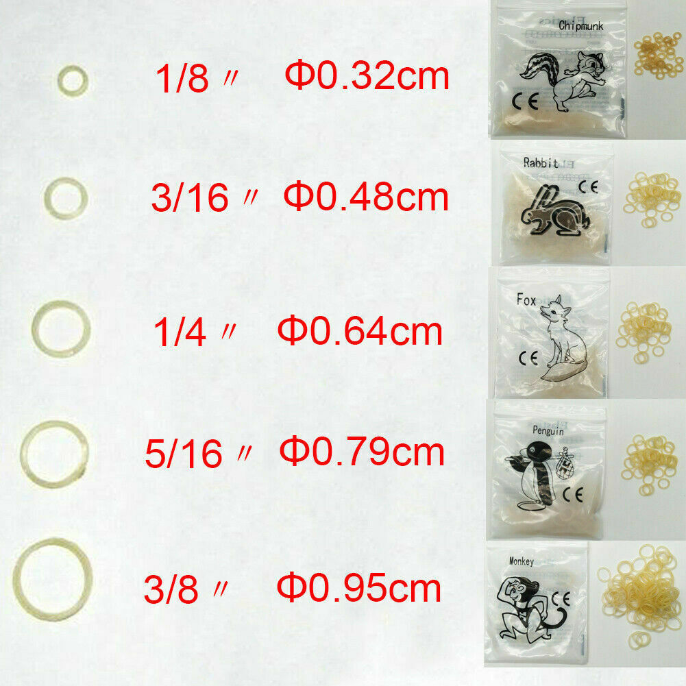 15 Sizes Dental Orthodontic Rubber Bands Elastics Latex Braces 3.5 /5.0 /6.5 oz