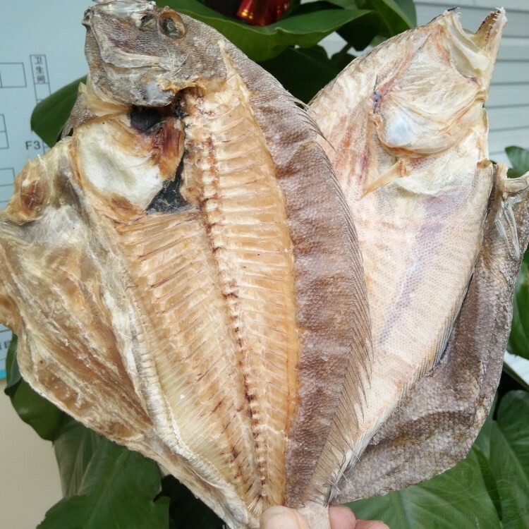 Natural Dried Flounder Fish 大地鱼 比目鱼