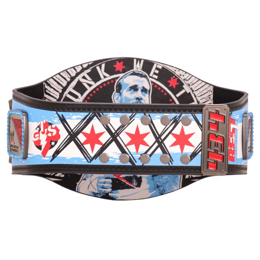 CM Punk 434-Day WWE Spinner Championship Belt Brass, Customizable, Free Ship