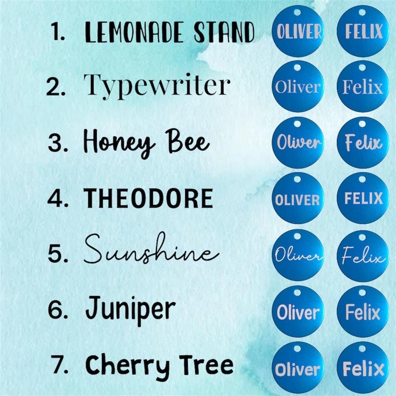 1” Customized Round Pet ID Tag for Cats & Small Dogs