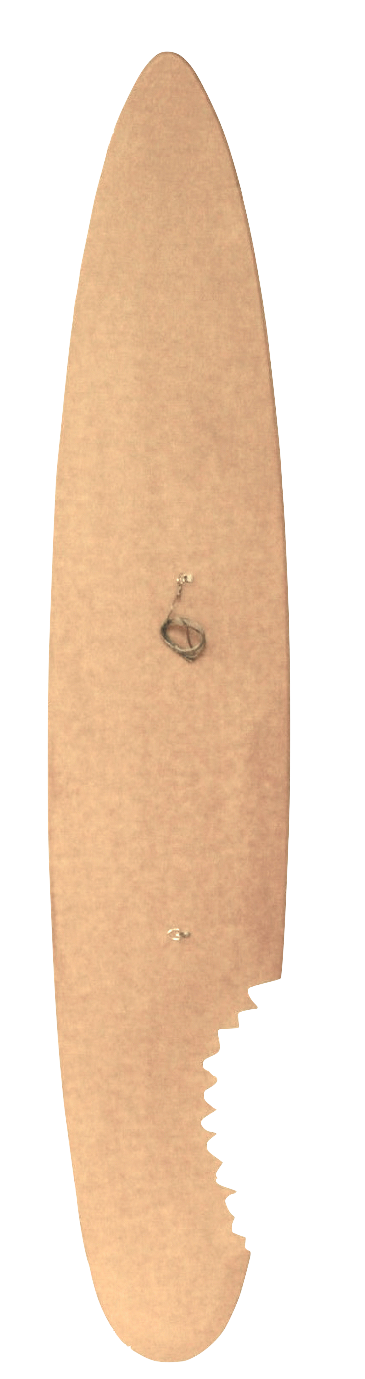 LANDSHARK SURFBOARD - 6 FOOTER - Dimensions: 72 in x 14 in x ½ in