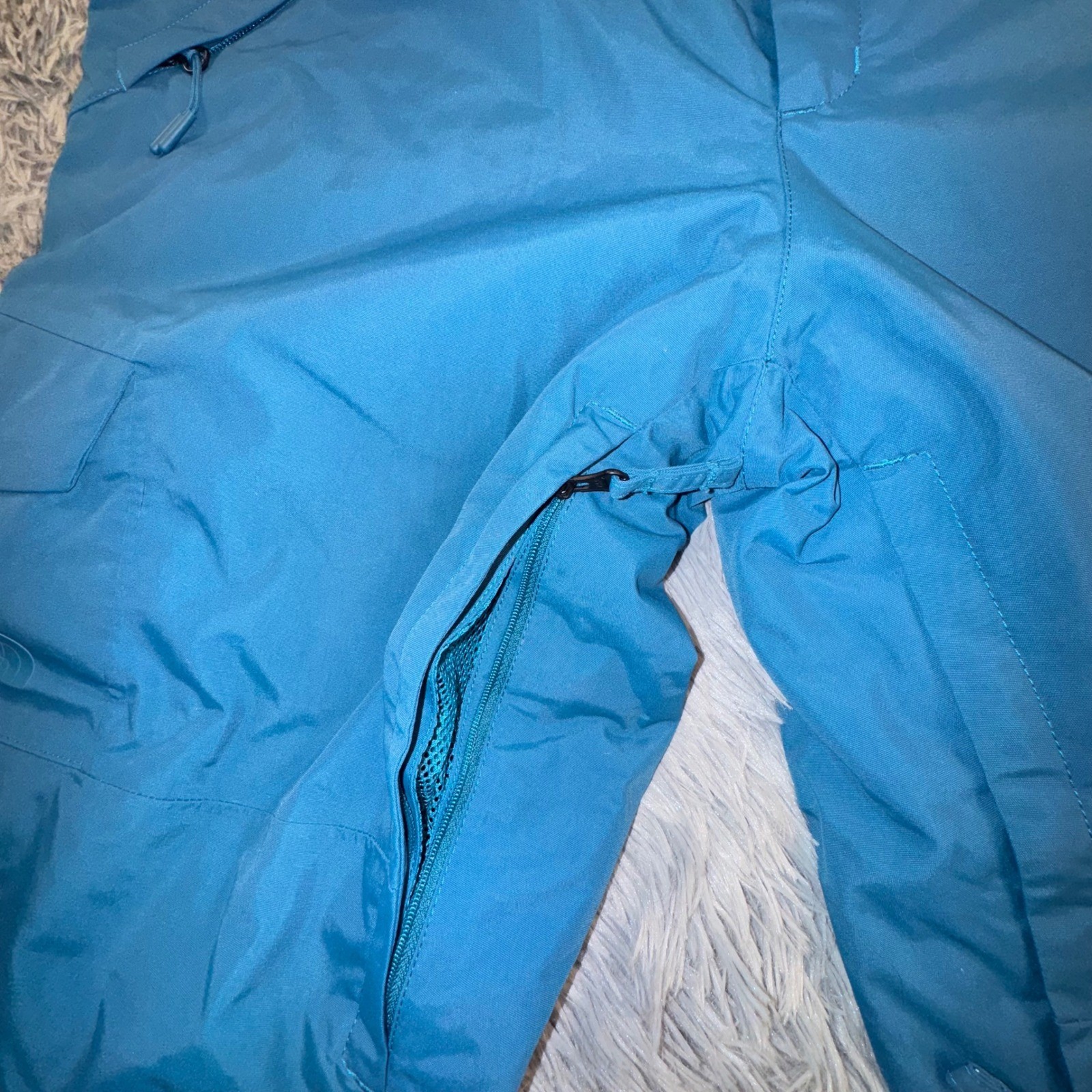 The North Face Freedom DryVent women's XL ski snowboard pants