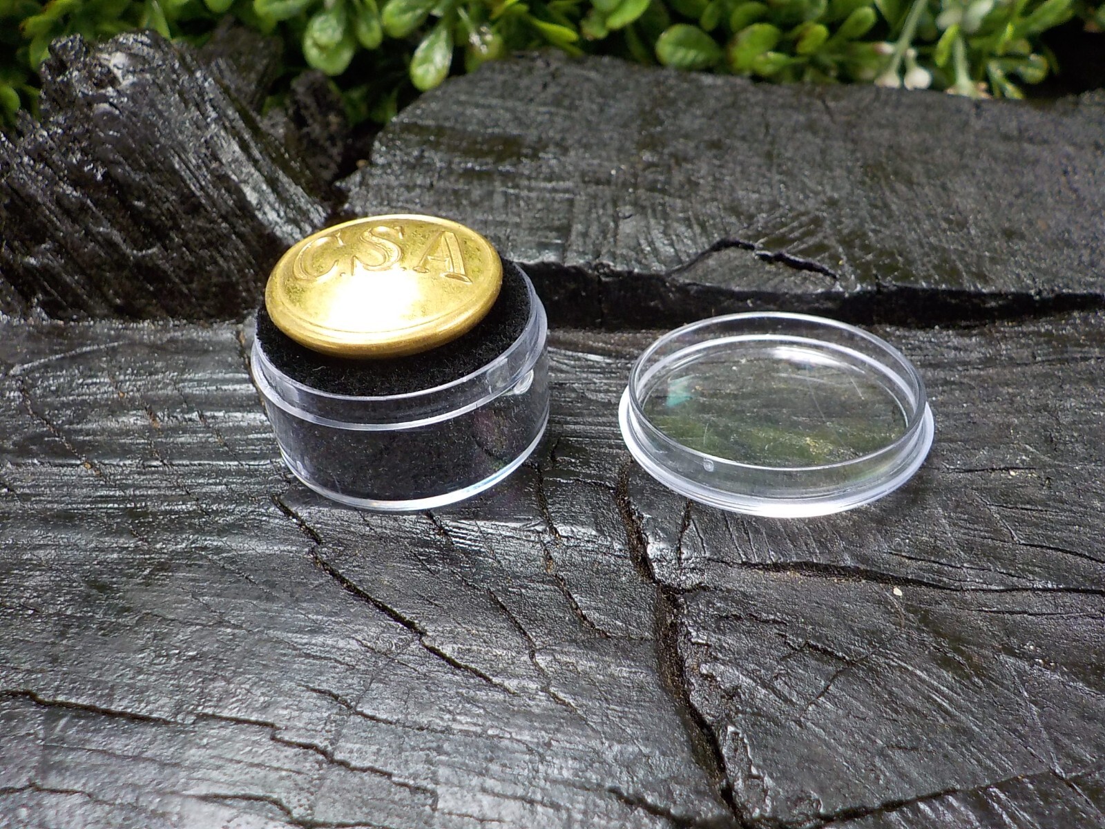 Confederate States of America Coat Button Loaded with Gold Free Button Case