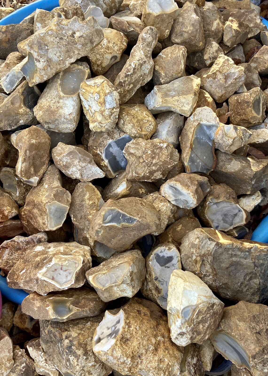 8+ POUNDS Central Texas “Edwards Plateau”Chert/Flint Rocks for Knapping/Lapidary