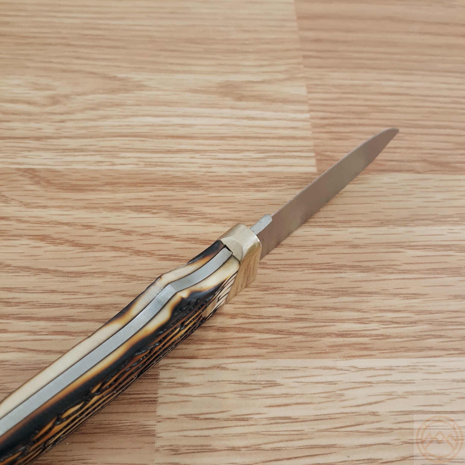 Schrade Hunter Fixed Knife 2.75" 7Cr17MoV Steel Full Tang Blade Staglon Handle