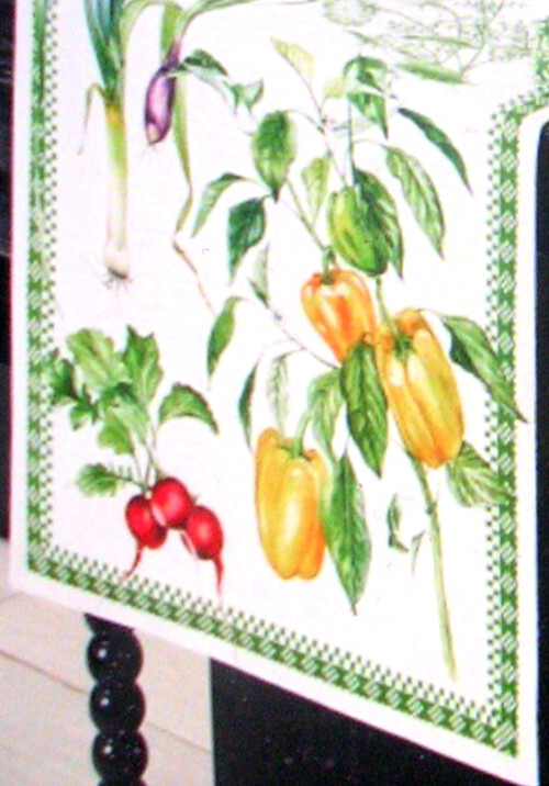 WILLIAMS SONOMA VEGETABLE TABLE RUNNER TWILL WEAVE COTTON 16X108 REVERSIBLE NWTG