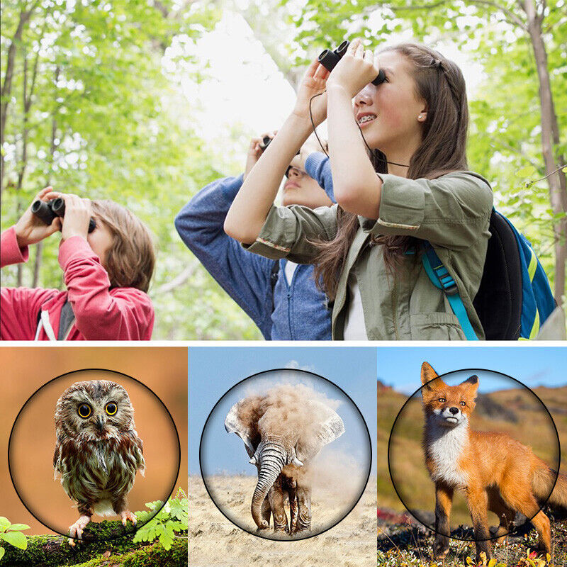 Mini Binoculars Telescope 30X60 Zoom Day Night Vision Foldable Travel Hunting US