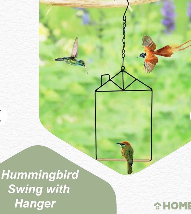 Hanging Hummingbird Swing