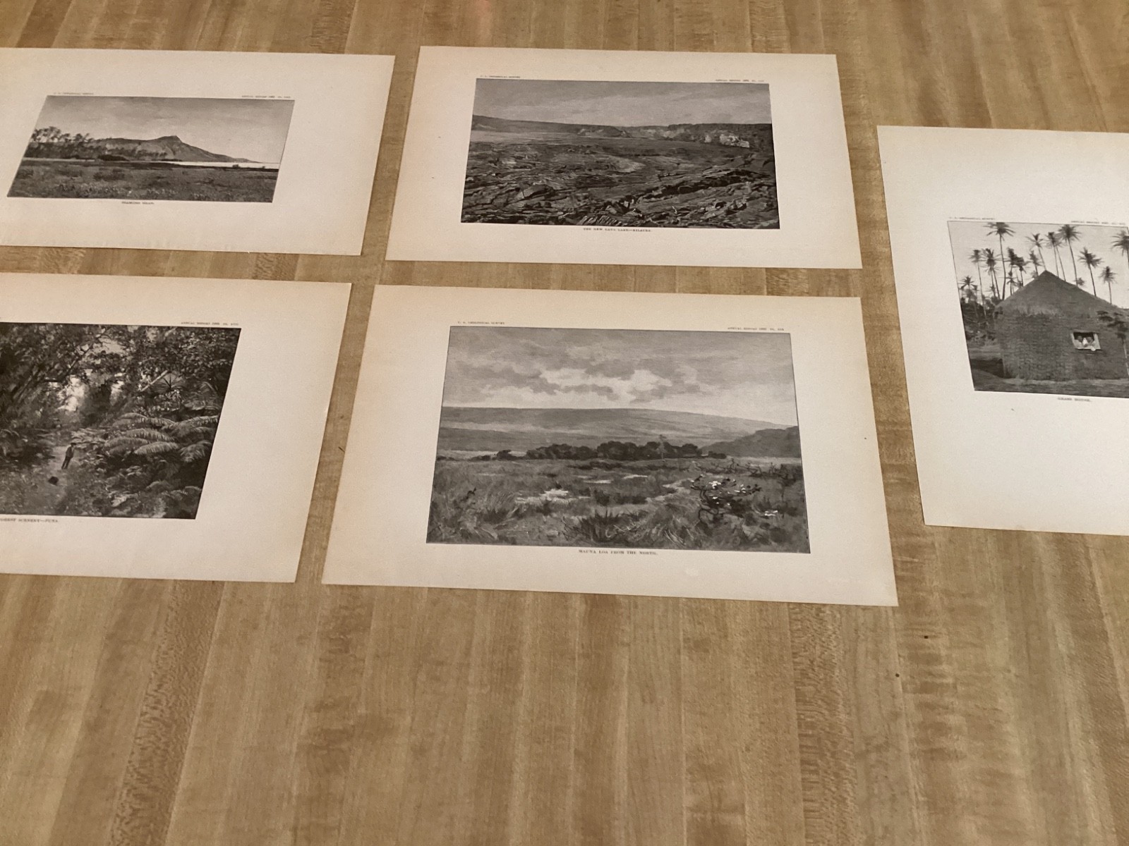 Antique Lot Of 18 Old 1883 Hawaii - USGS Survey Prints