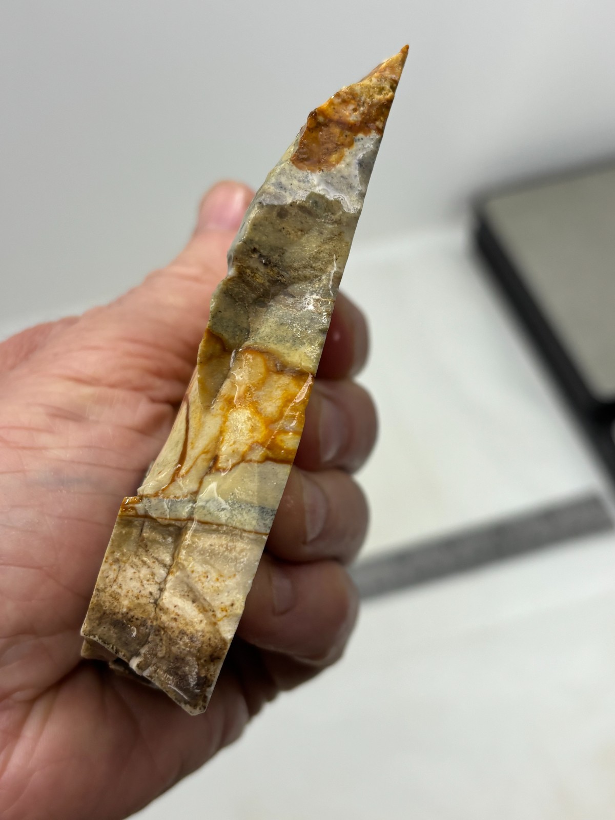 Disaster Peak Picture Jasper end slab Cabbing Lapidary Collecting Combo Ship Avl