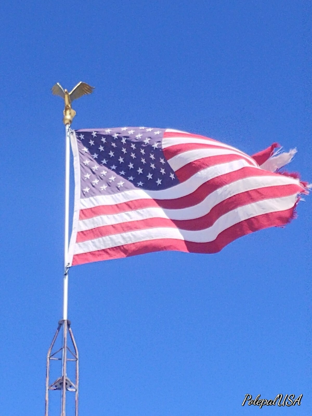 Flagpole Eagle Topper Decorative Gold Finial Globe Outdoor XX-Large 32 inch