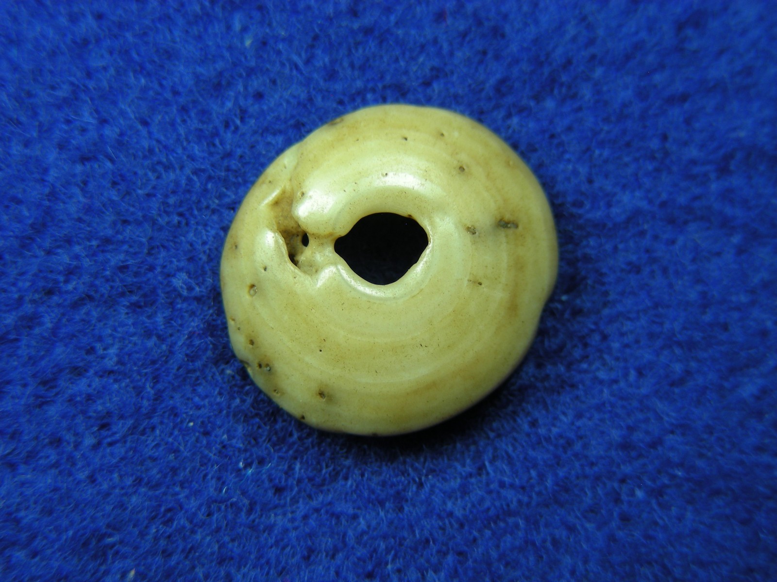 EXCELLENT DRILLED SHELL BEAD 11/16" TENNESSEE Authentic Indian Artifacts
