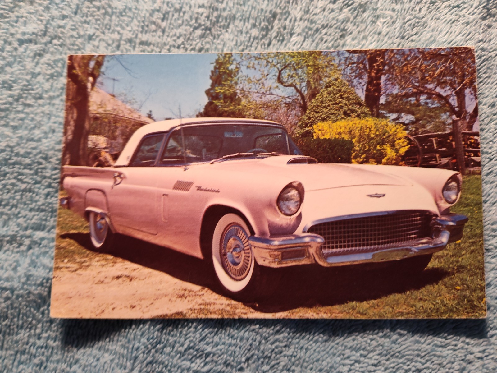 5 Ford Thunderbird 1957 New Post Cards--5 for 1 Price--