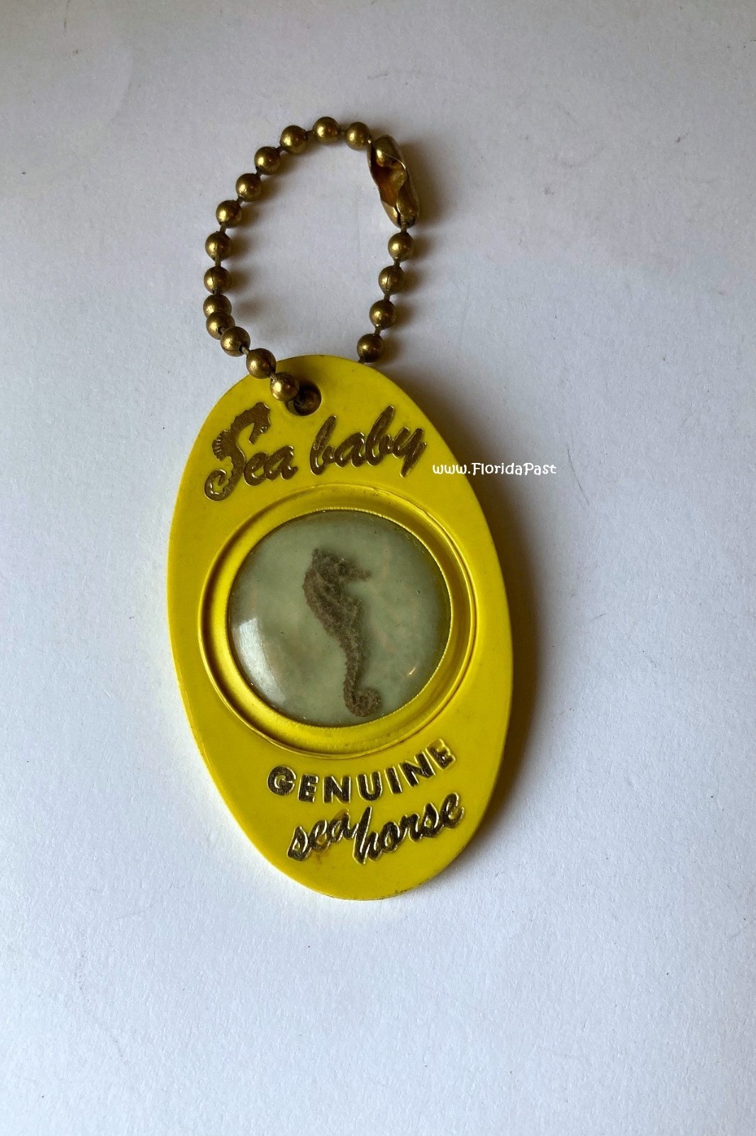 1950s 1960s Sea Baby Encased Seahorse Weeki Wachee Springs Florida Key Fob Chain