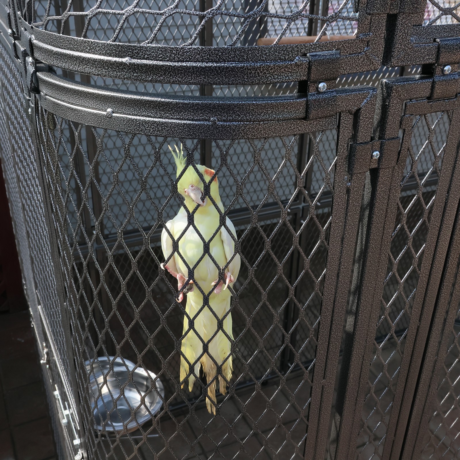 Large Walk-in Bird Cage Aviary for Parrot Macaw Finch Outdoor Metal Enclosure