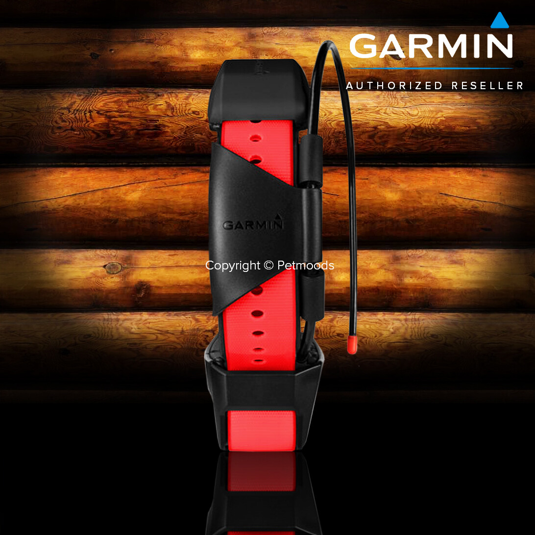 Garmin TT15X Dog Device GPS Tracking Training Collar 010-02755-80
