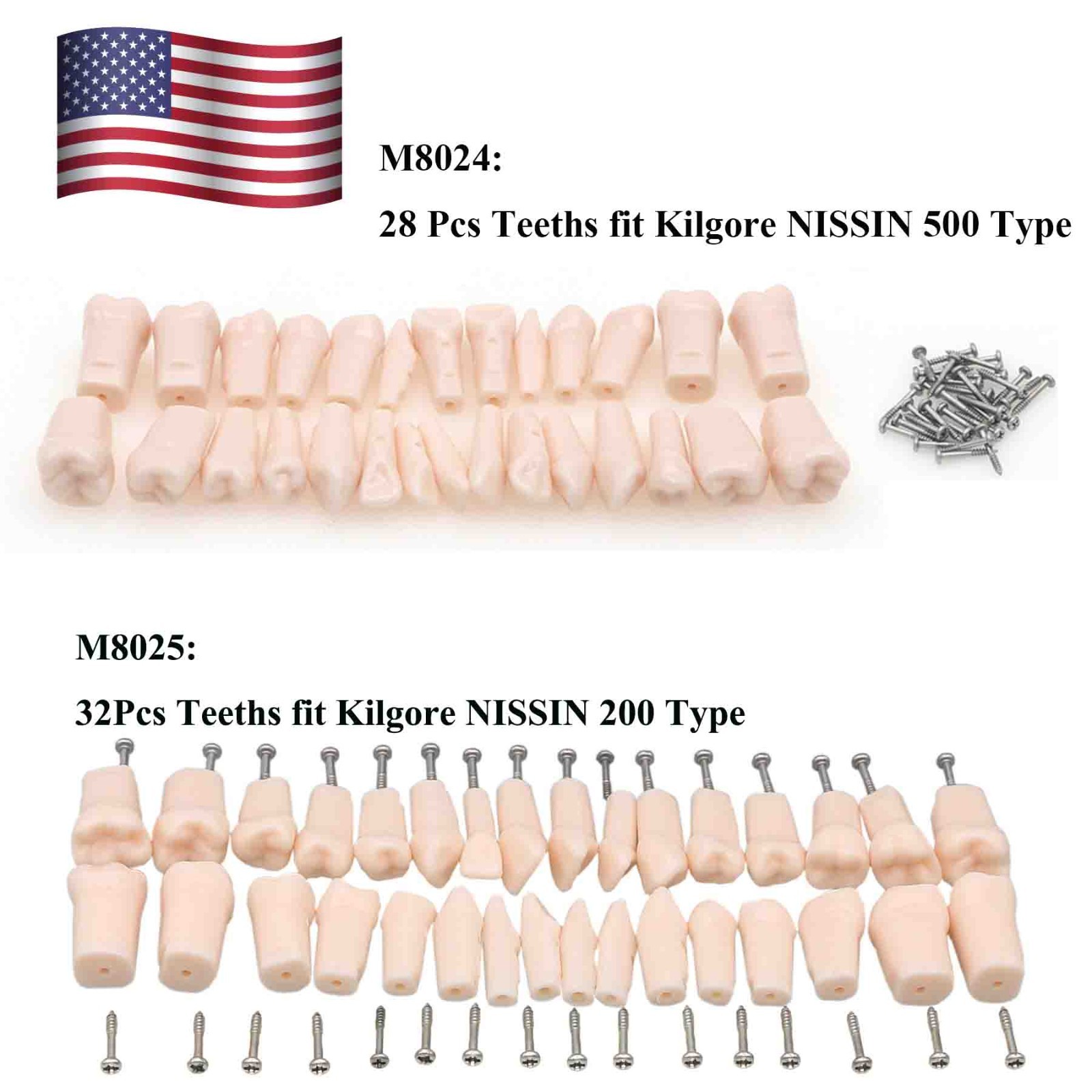 Dental Typodont Replacement Teeth Screw-in Model fit Kilgore NISSIN 200/500 Type